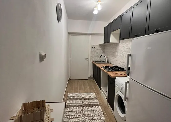 Cozy Apartment Floreasca