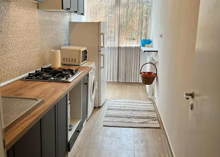 Cozy Apartment Floreasca Apartament Bucureşti