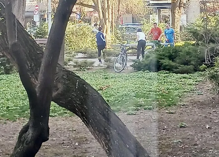 Cozy Apartment Floreasca Bucureşti