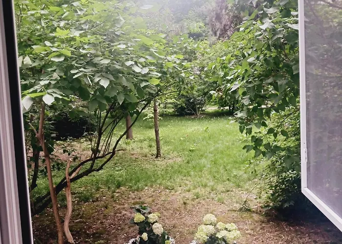 Cozy Apartment Floreasca Apartament