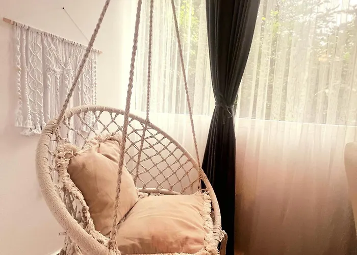 Cozy Floreasca 아파트