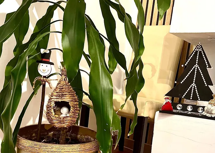 Apartament Cozy Apartment Floreasca