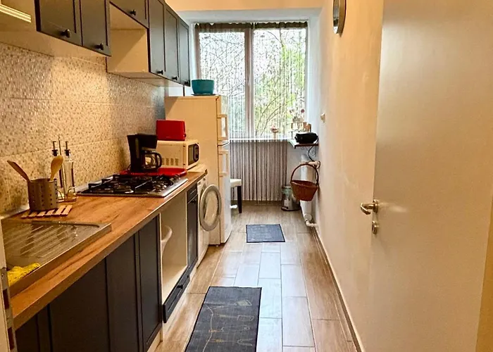 Apartament Cozy Apartment Floreasca