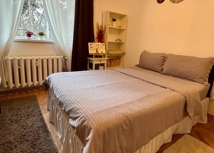 Cozy Apartment Floreasca Bucureşti