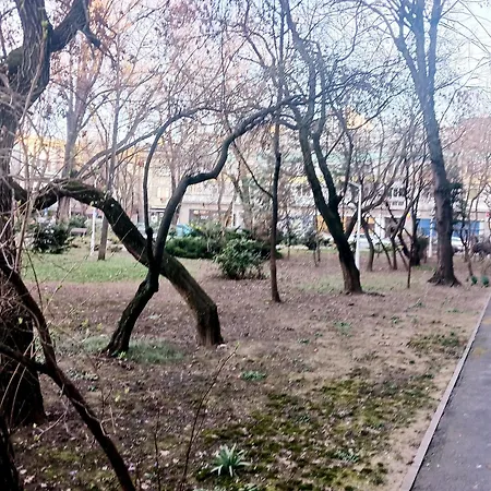 The House In The Park