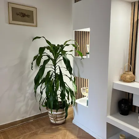 The House In The Park Апартаменты