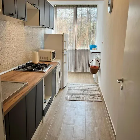 The House In The Park Апартаменты Бухарест