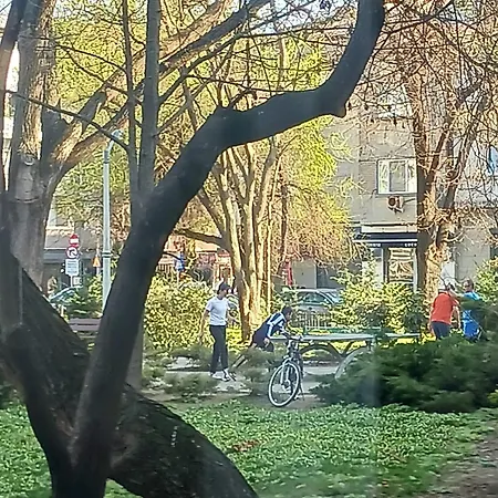 Apartament The House In The Park Bucureşti