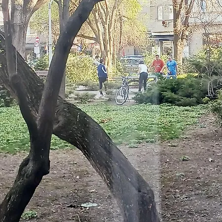 The House In The Park Bucharest