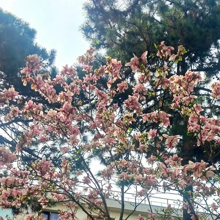 Διαμέρισμα The House In The Park *