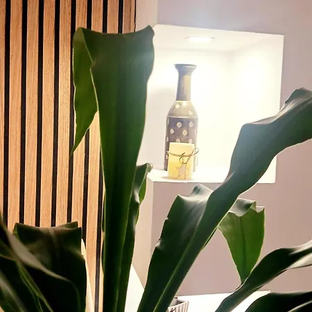 The House In The Park Апартаменты