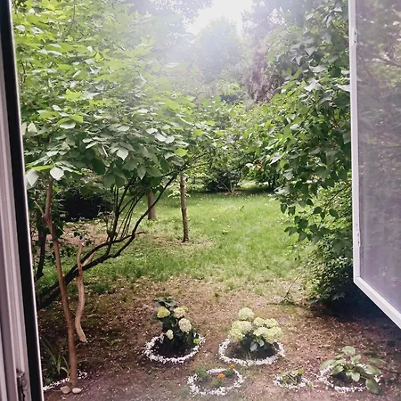The House In The Park Apartament