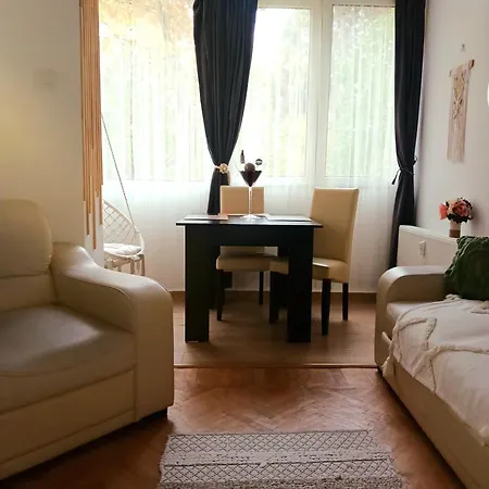 The House In The Park