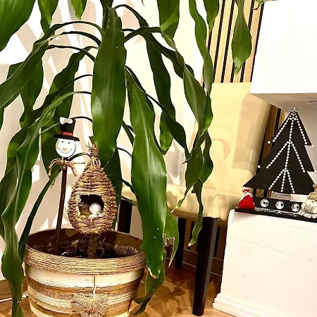 Апартаменты The House In The Park