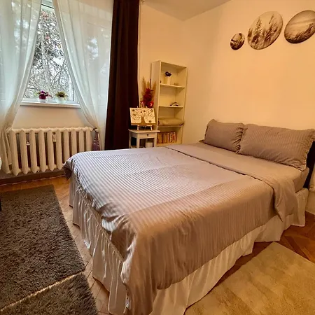 Cozy Floreasca 布加勒斯特