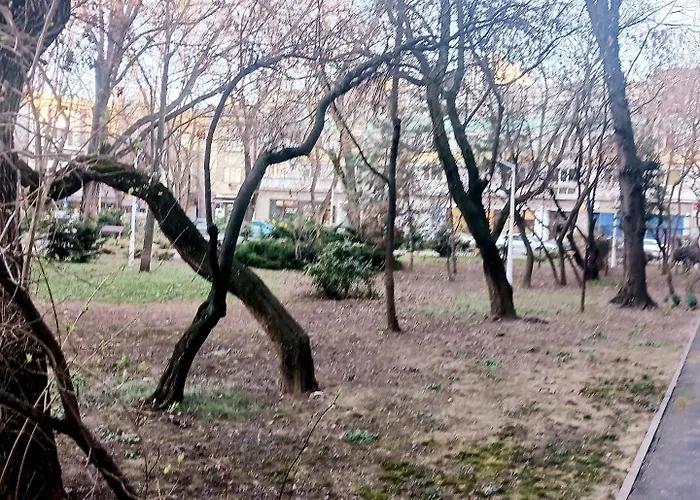 The House In The Park