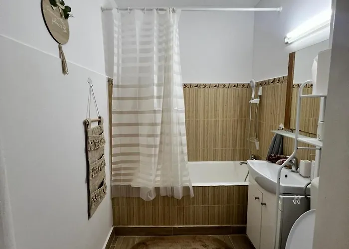 Cozy Apartment Floreasca *