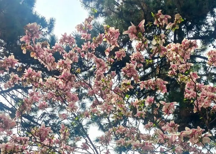 아파트 The House In The Park *