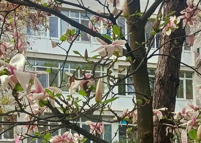 The House In The Park 아파트 부쿠레슈티