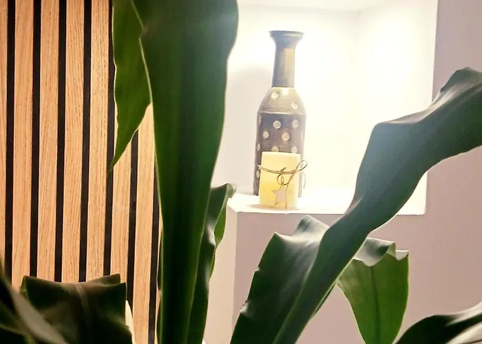 Cozy Apartment Floreasca Appartement