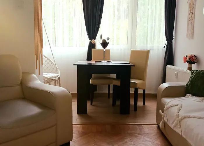 Cozy Apartment Floreasca