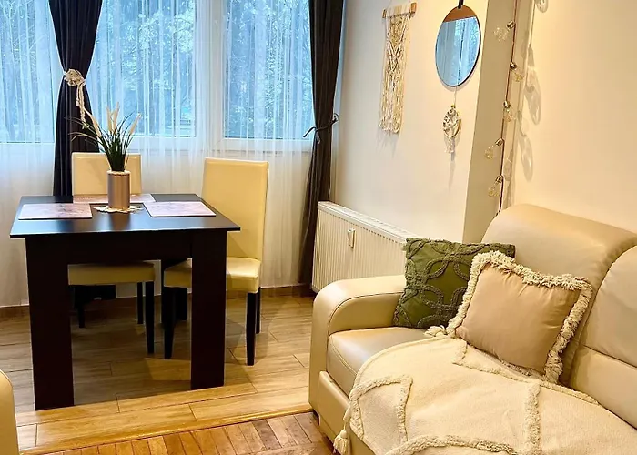 Cozy Apartment Floreasca Appartement Bucarest