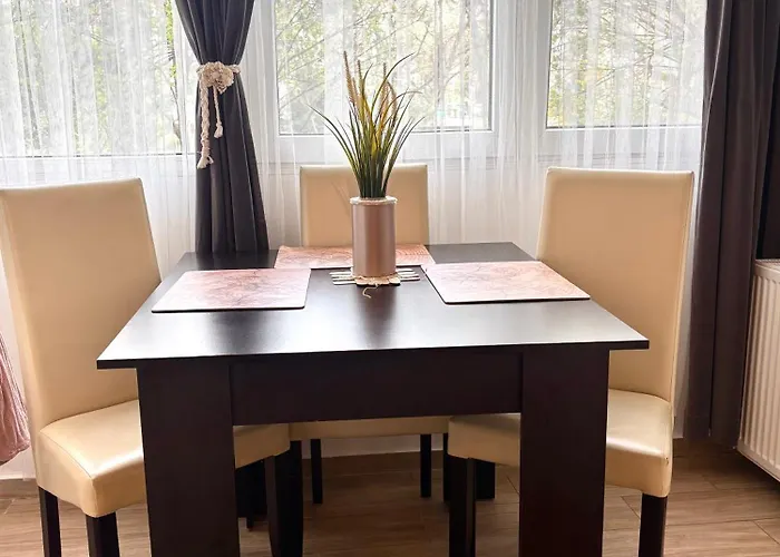 Cozy Apartment Floreasca