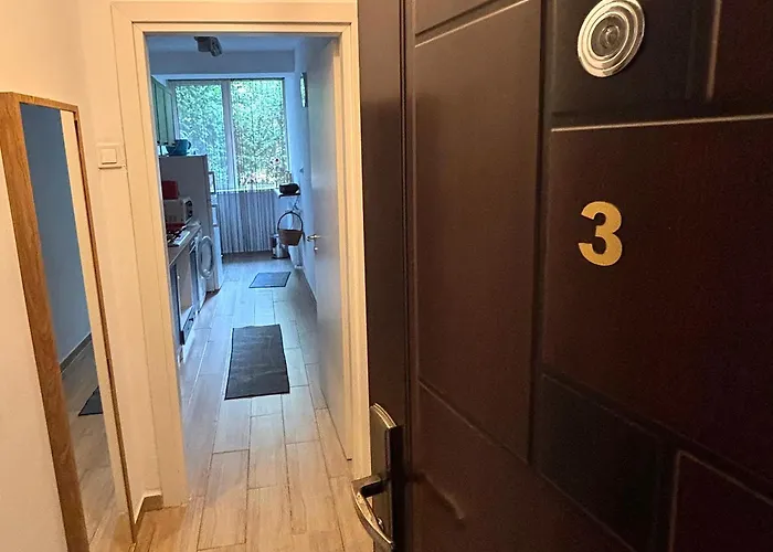 Cozy Apartment Floreasca Appartement Bucarest