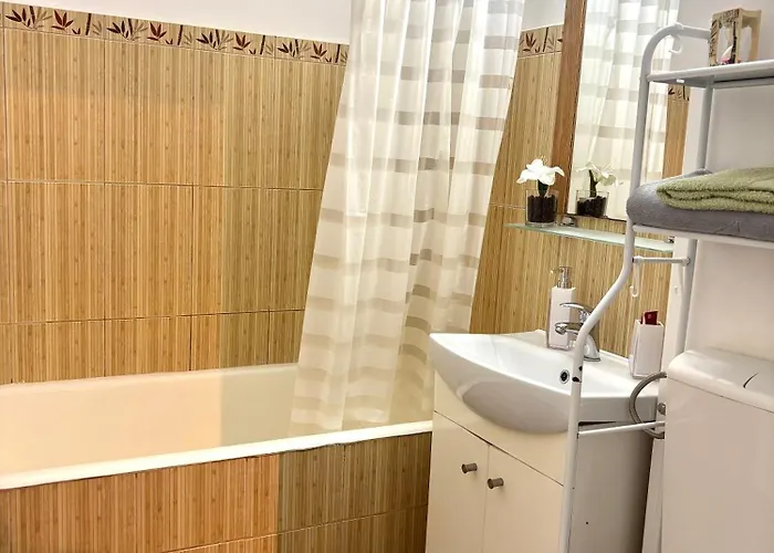 Appartement Cozy Apartment Floreasca