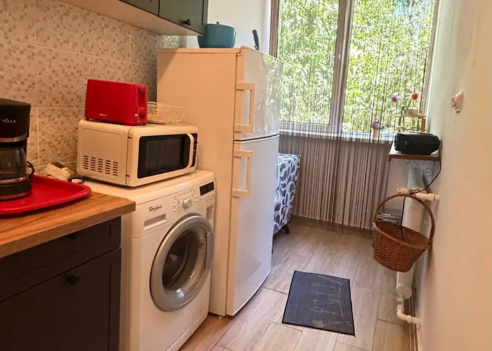 Cozy Apartment Floreasca