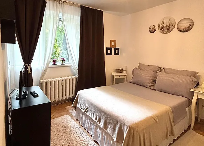 Apartment Cozy Floreasca *