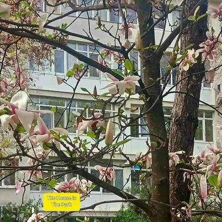 The House In The Park Daire Bükreş