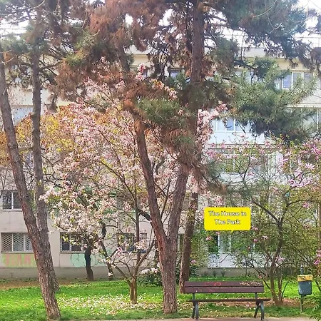 The House In The Park Daire