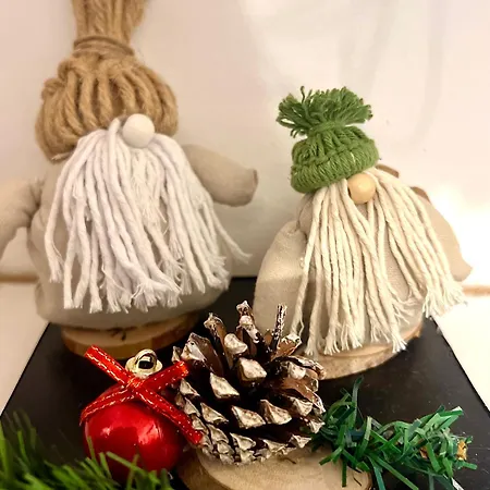 The House In The Park * Bükreş