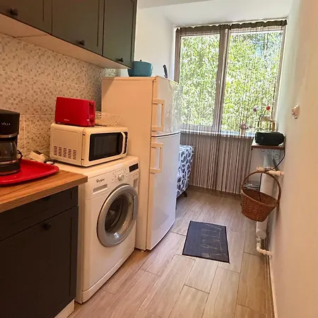 The House In The Park